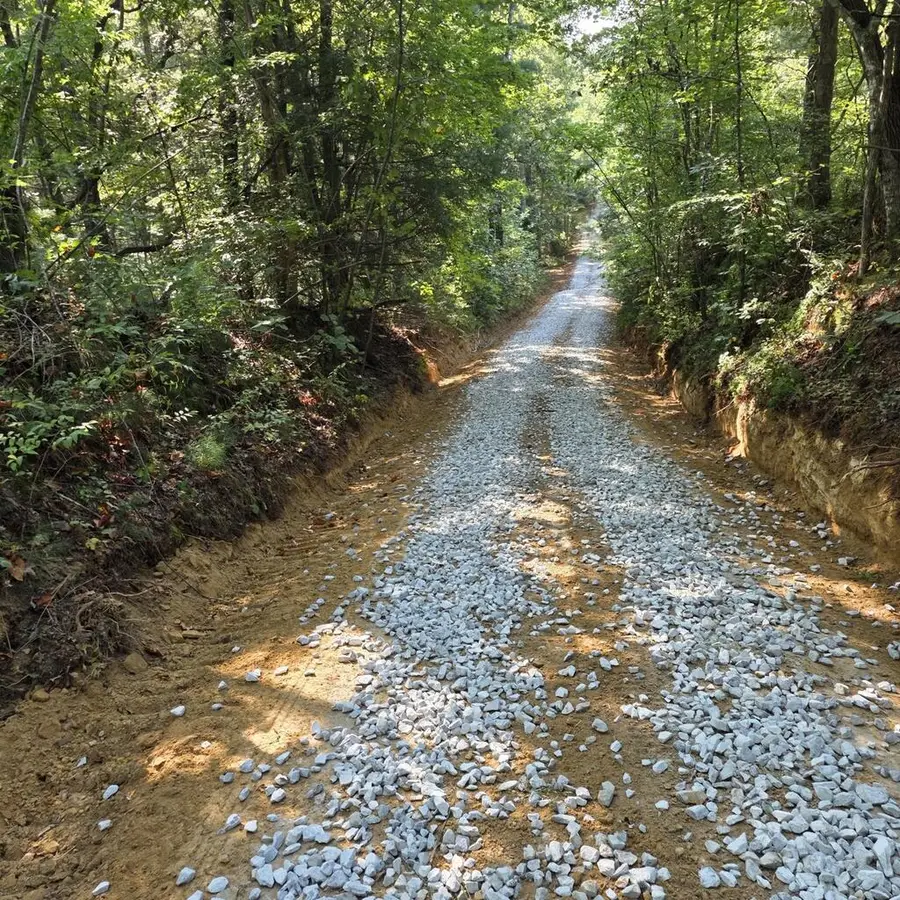 144 Gunter Place Rd, Sunbright, TN 37872 - #2