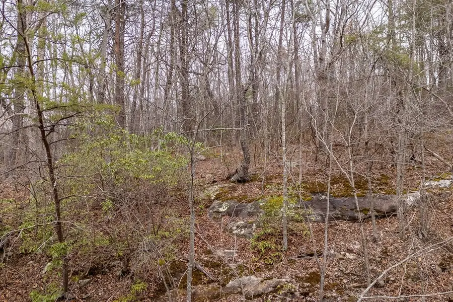 106 Warrington Road, Crossville, TN 38558 - #3
