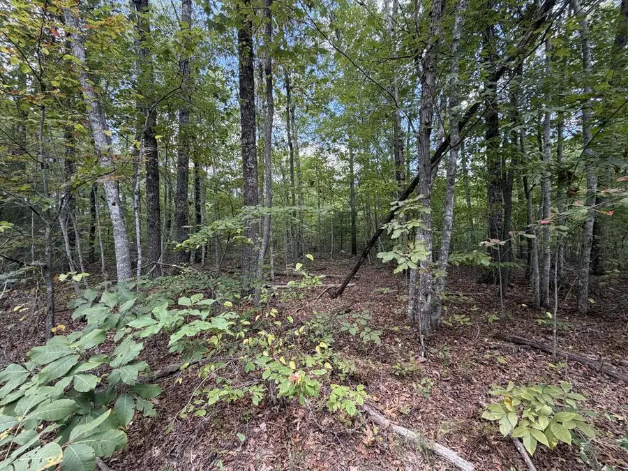 14.4 Ac Horse Creek Rd., Jamestown, TN 38556 - #3