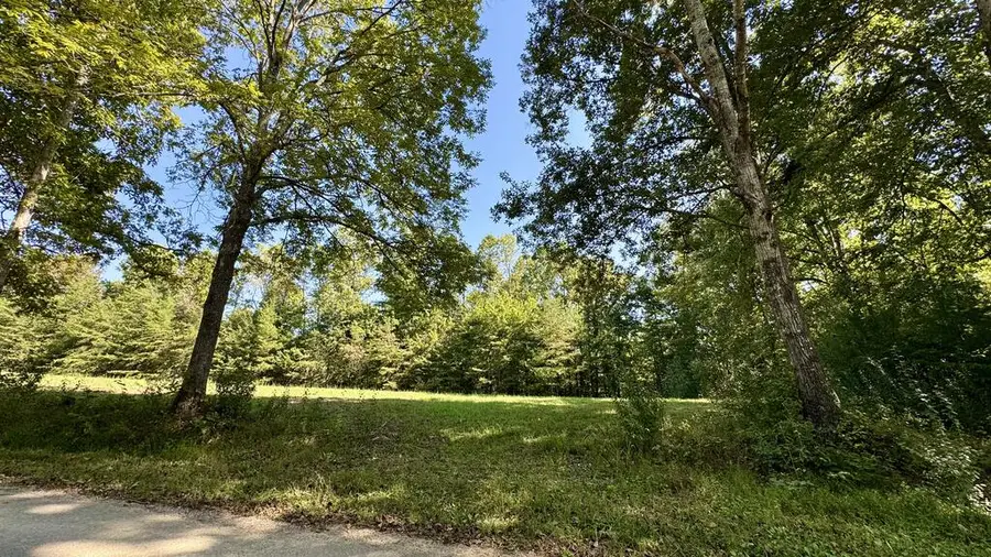 187 High Point Rd., Deer Lodge, TN 37726 - #2