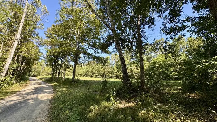 187 High Point Rd., Deer Lodge, TN 37726 - #3
