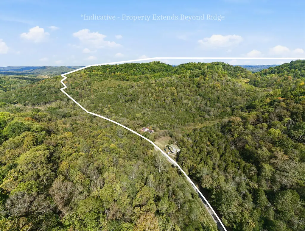 18555 Happy Hollow Rd, Buffalo Valley, TN 38548 - #1