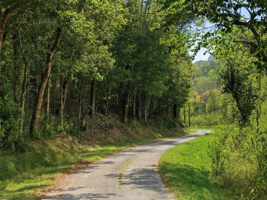 18555 Happy Hollow Rd, Buffalo Valley, TN 38548 - #2