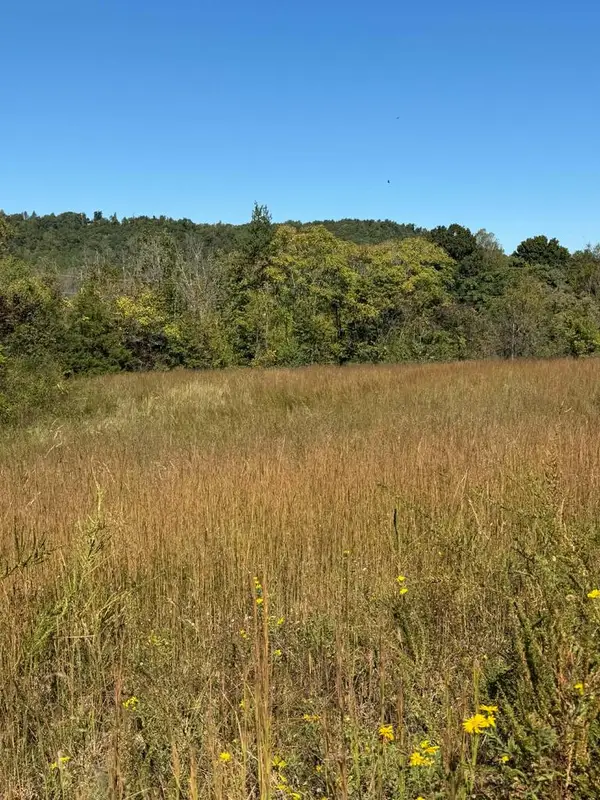 11.7 ac Byrdstown Hwy, LIVINGSTON, TN 38570