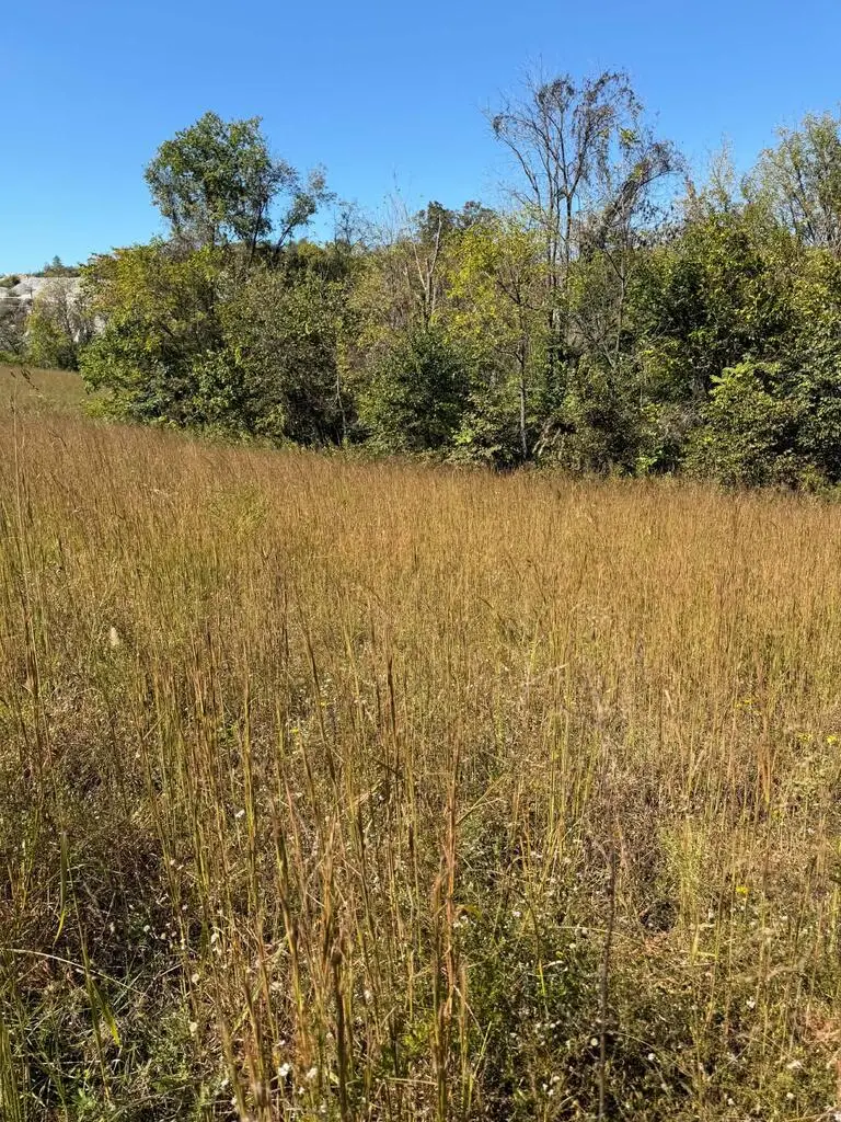 11.7 ac Byrdstown Hwy, Livingston, TN 38570 - #3