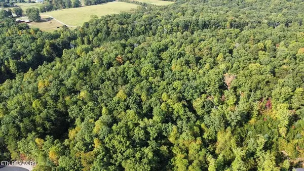 000 Long Branch Court, Allardt, TN 38556