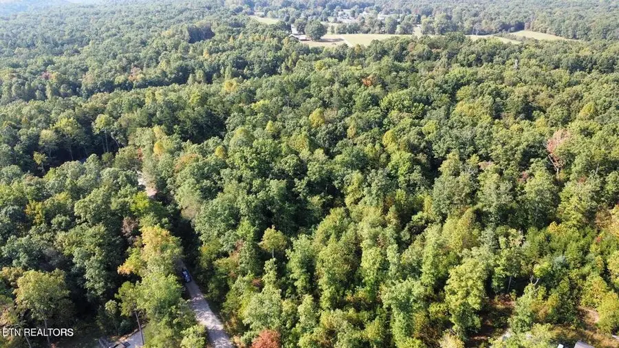 000 Long Branch Court, Allardt, TN 38556 - #2