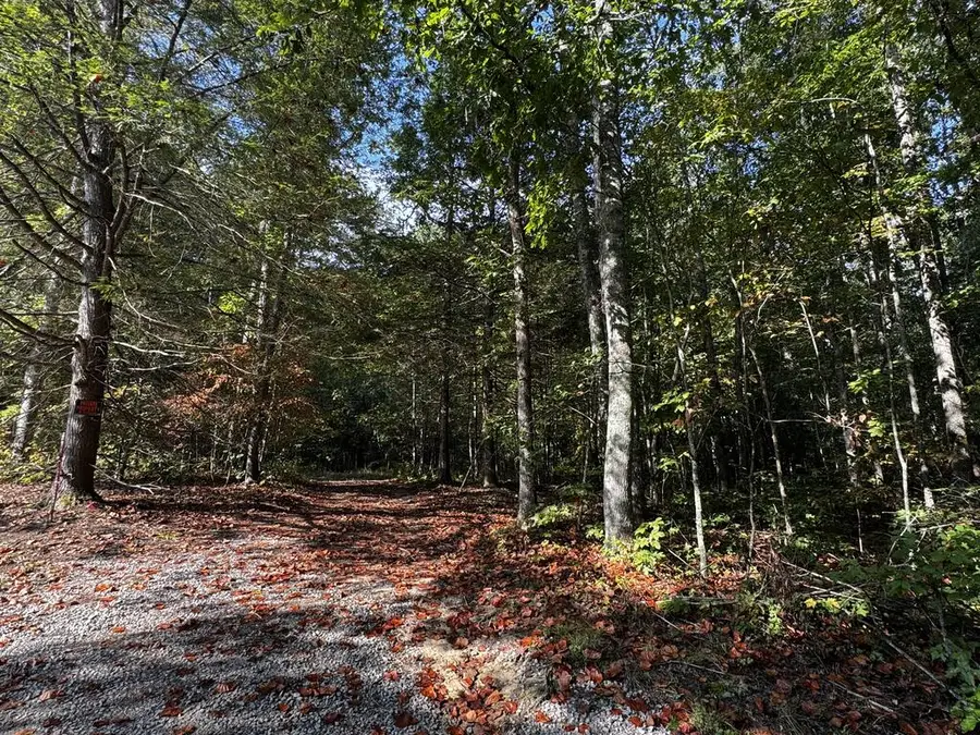 000 Long Branch Court, Allardt, TN 38556 - #3