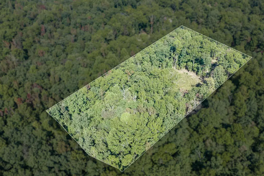 1426 E Overlook Road, Monterey, TN 38574 - #1