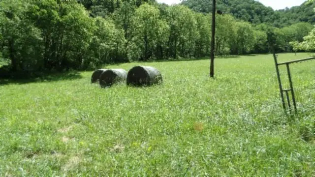 5155 Brimestone Creek Rd, Moss, TN 38575 - #2