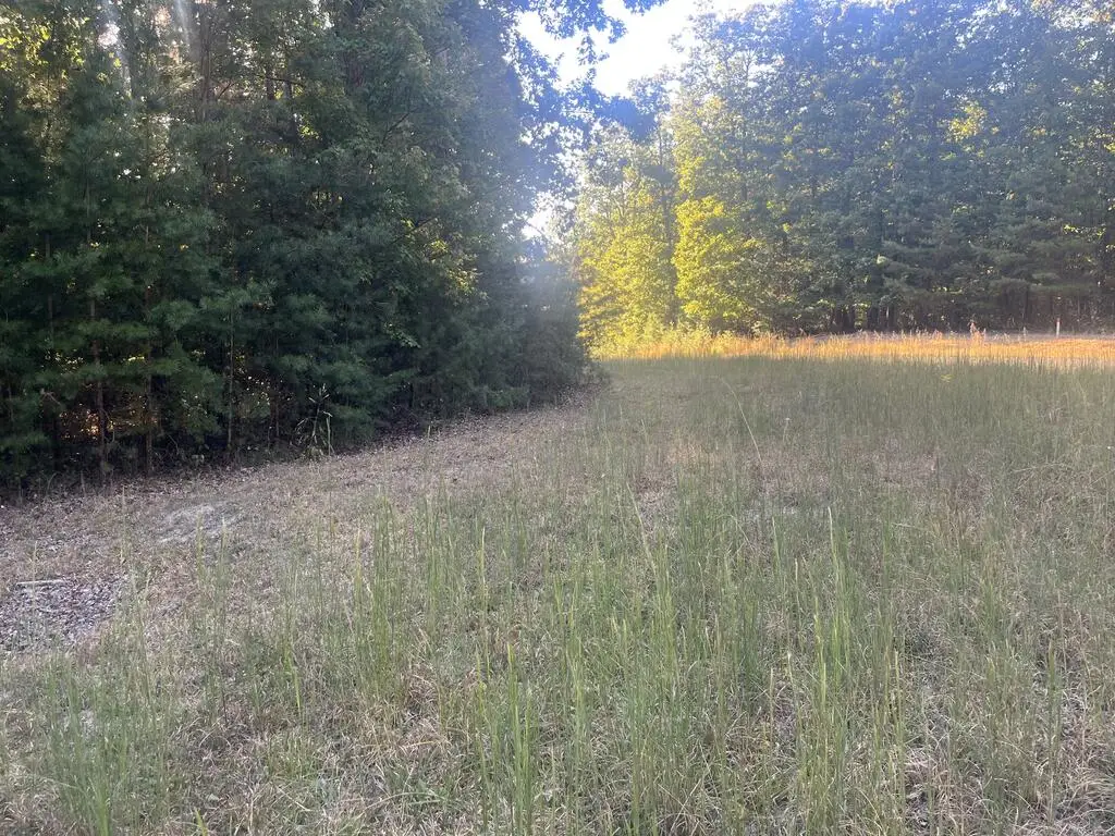0 Cougar Drive, Spencer, TN 38585 - #1