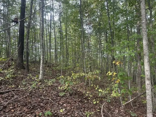 Lot 155 Mountain View Lane, Wilder, TN 38589 - #3