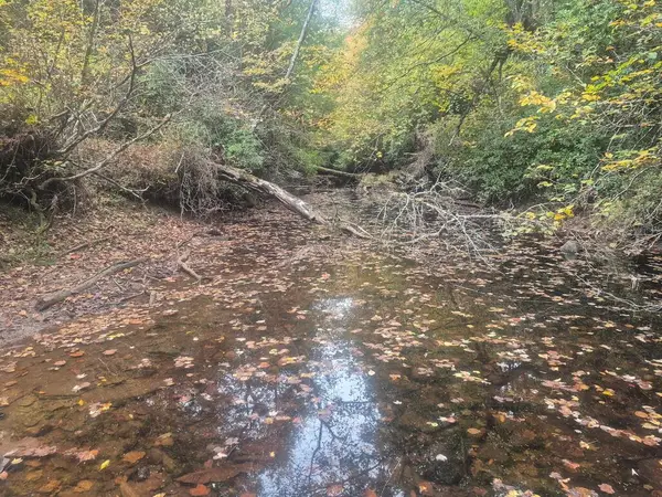 Lot 4 Freedom Ridge Ln, CROSSVILLE, TN 38572