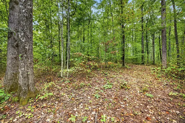Lot X&22 Colepin Lane- Phase Ii, Celina, TN 38551