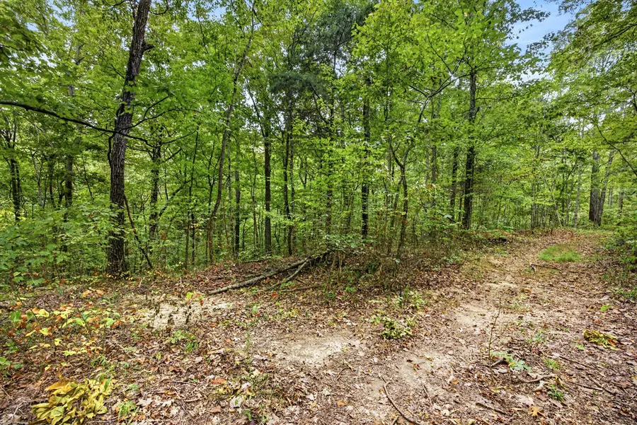 Lot X&22 Colepin Lane- Phase Ii, Celina, TN 38551 - #2