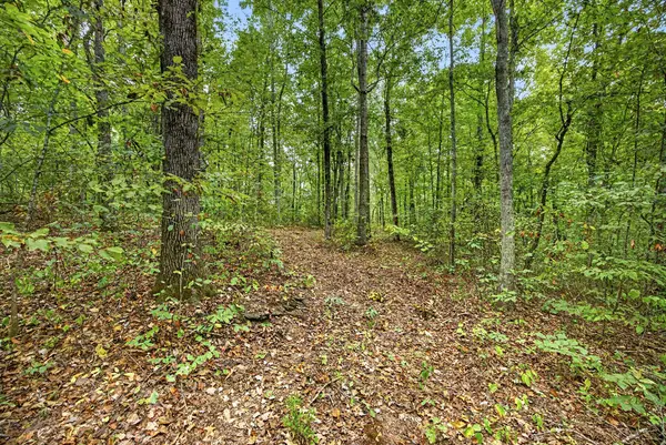 Lot X,21 & 22 Colepin Lane- Phase Ii, Celina, TN 38551