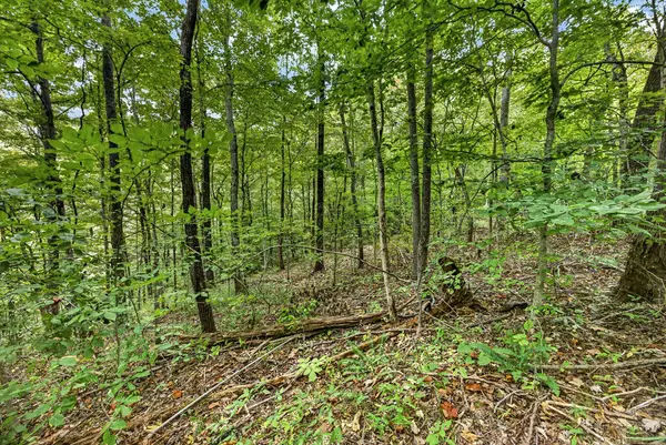 Lot 25 & 26 Timber Ridge Lane- Phase Ii, Celina, TN 38551