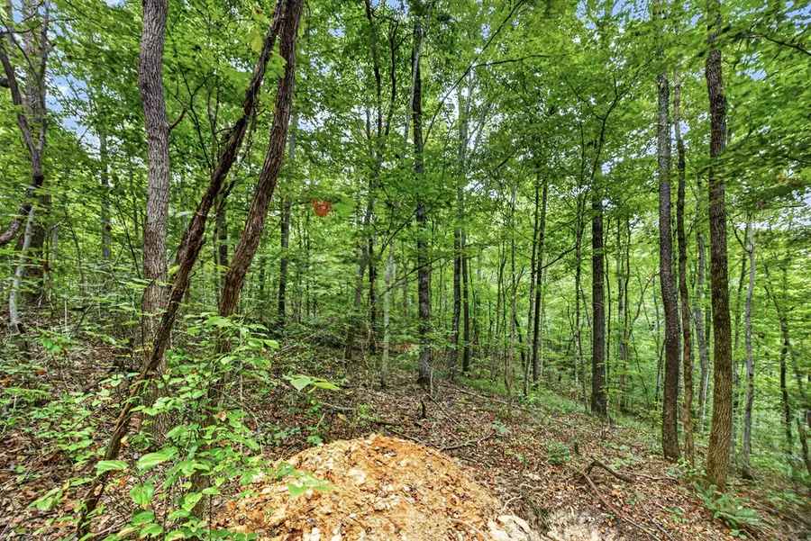 Lot 25 & 26 Timber Ridge Lane- Phase Ii, Celina, TN 38551 - #2