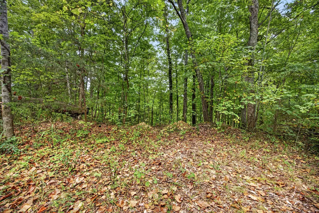 Lot 28 & 29 Timber Ridge Lane- Phase Ii, Celina, TN 38551 - #1