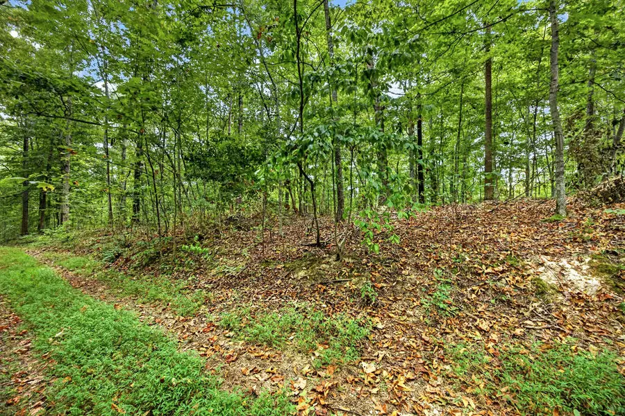 Lot 28 & 29 Timber Ridge Lane- Phase Ii, Celina, TN 38551 - #3