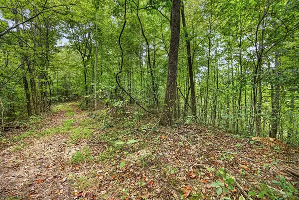 Lot 30 & 31 Timber Ridge Lane- Phase Ii, Celina, TN 38551