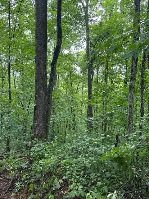 Lot 236 Veterans Lookout, Wilder, TN 38589 - #2