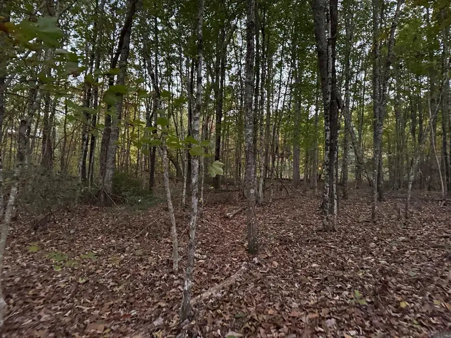 0 Panther Falls Rd., Wilder, TN 38589 - #2