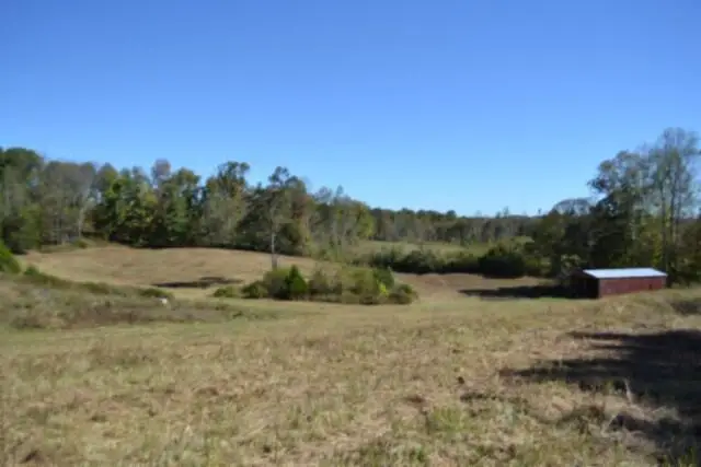 10ac Bob Dennings Rd, Allons, TN 38541 - #1