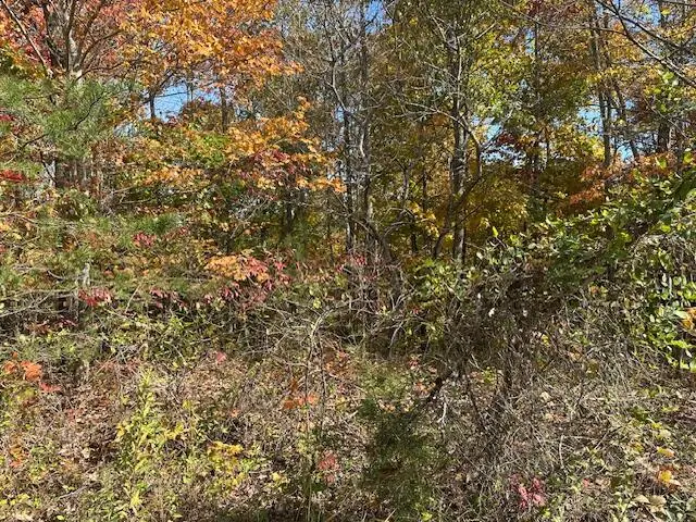 60268 Red Rock Lane, Crawford, TN 38554 - #3