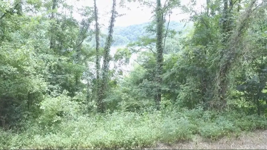 Lot 94 Blackberry Ridge, Smithville, TN 37166 - #2