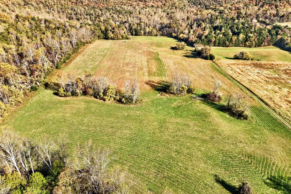 1652 Plum Creek Rd, Sparta, TN 38583 - #1
