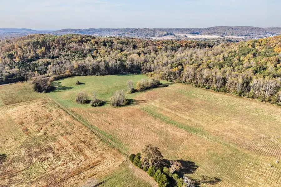 1652 Plum Creek Rd, Sparta, TN 38583 - #3