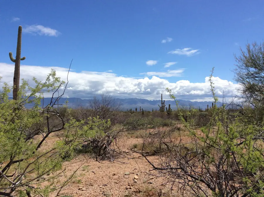 Peppersauce Mine Rd, San Manuel, AZ 85631 - Image #2