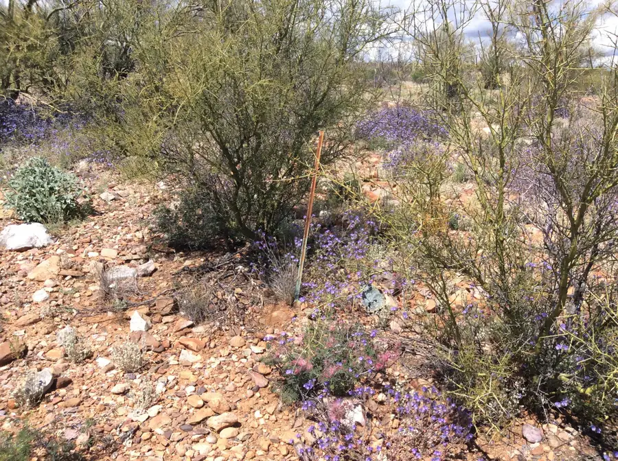 Peppersauce Mine Rd, San Manuel, AZ 85631 - Image #3