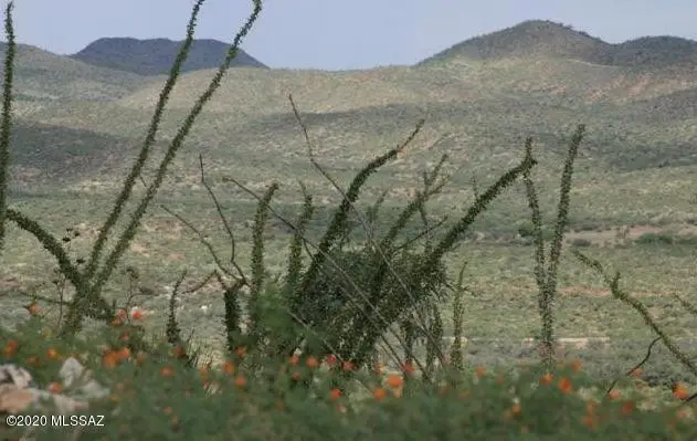 0000 None Assigned A-200, Vail, AZ 85641 - Image #1