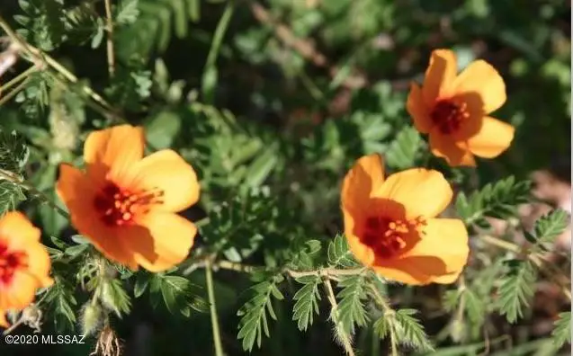 00000 None Assigned 2, Vail, AZ 85641 - Image #3