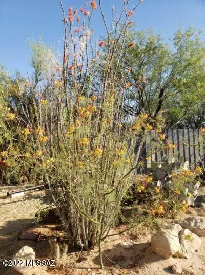 S Honeysuckle Farm Trail, Tucson, AZ 85735 - Image #3