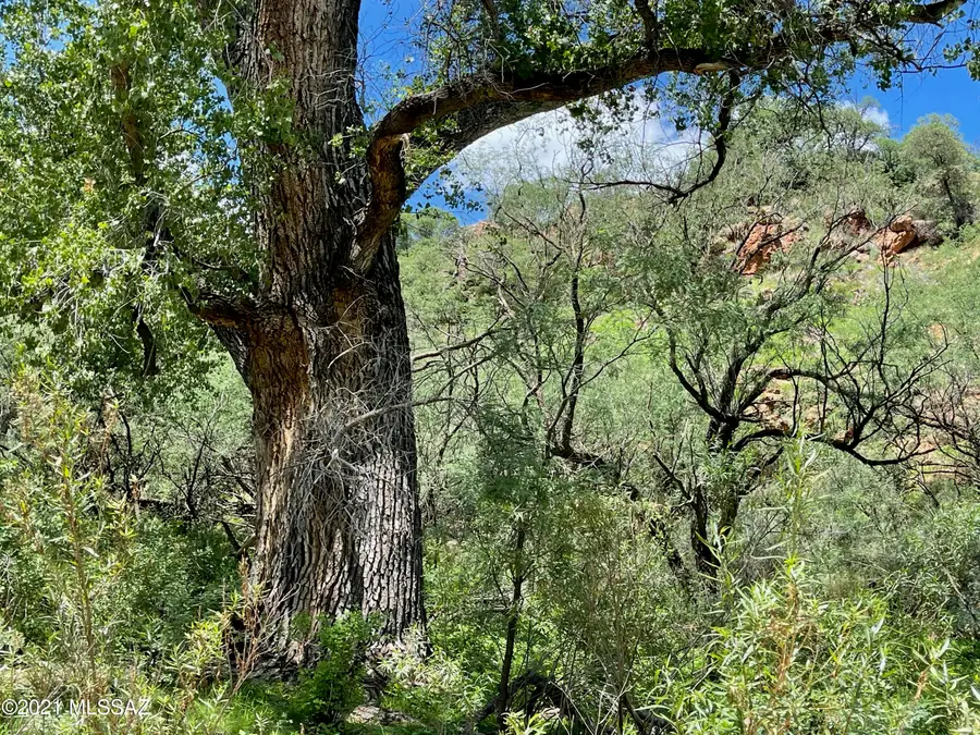 60 Harshaw Creek Road, Patagonia, AZ 85624 - Image #2