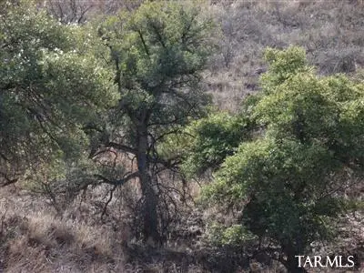 111 Lado De Loma Drive #32, Patagonia, AZ 85624 - Image #3