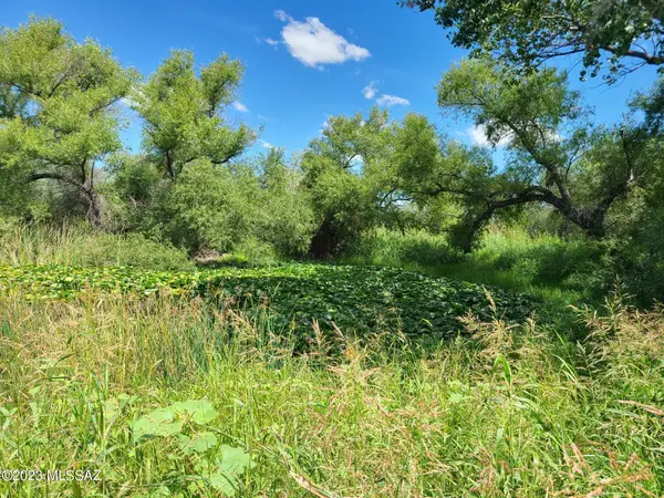 Curtis Rd - Curtis Farms Lot 2, St. David, AZ 85630