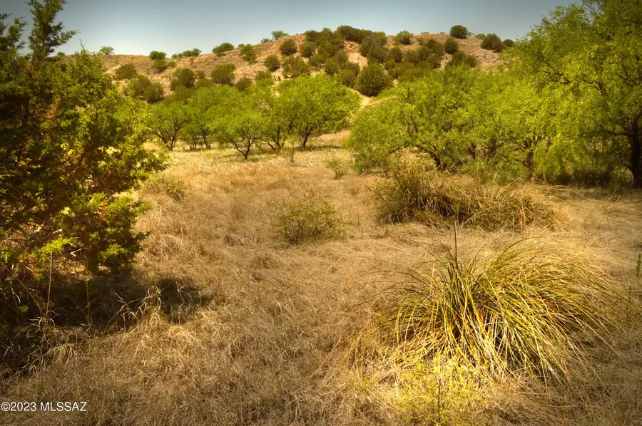 194 Tanglehead Lane #Lot 23, Patagonia, AZ 85624 - Image #2