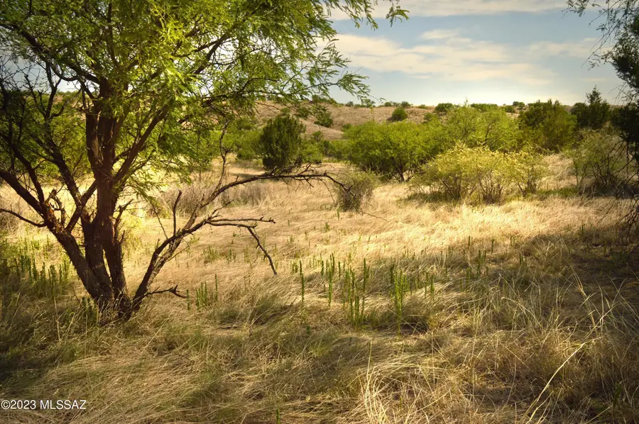 194 Tanglehead Lane #Lot 23, Patagonia, AZ 85624 - Image #3