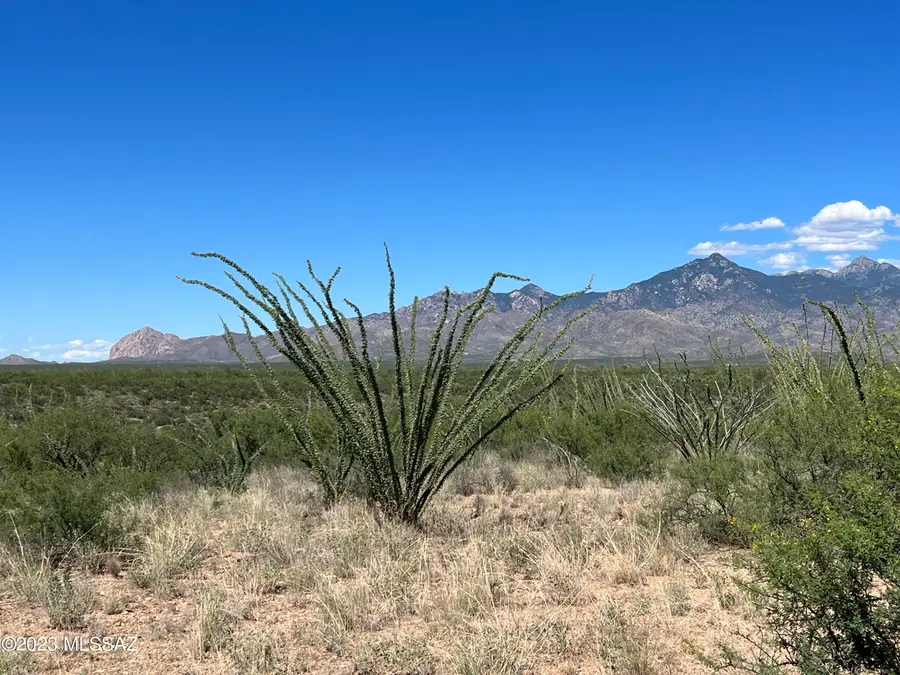TBD Camino Nacozari, Tubac, AZ 85646 - Image #2