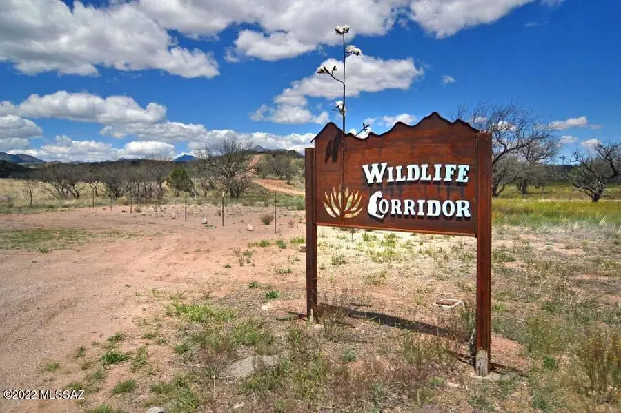 190 Tanglehead Lane #Lot 25, Patagonia, AZ 85624 - Image #3