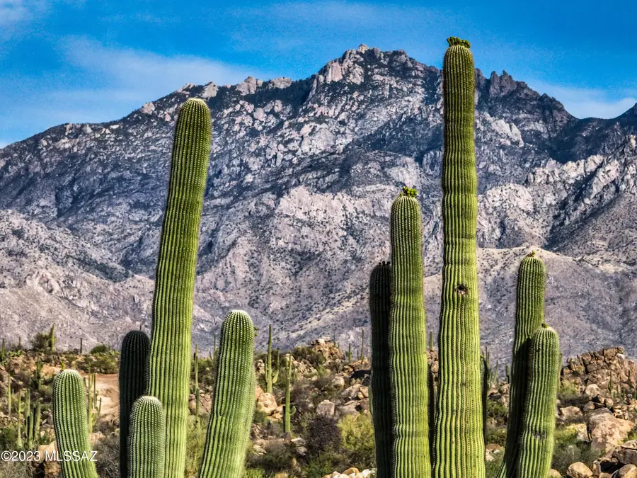 478 W Granite Gorge Drive #562, Oro Valley, AZ 85755 - Image #2