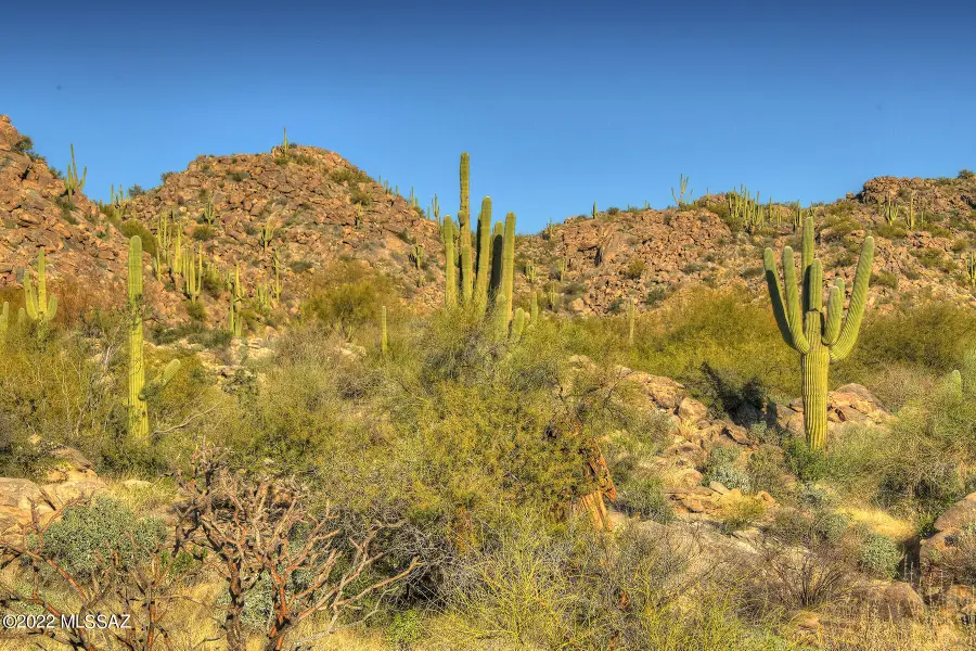 14451 N Giant Saguaro Place #32, Oro Valley, AZ 85755 - Image #3