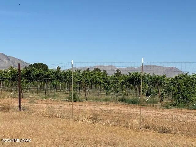 TBD E Christmas Tree Lane, Pearce, AZ 85625 - Image #2