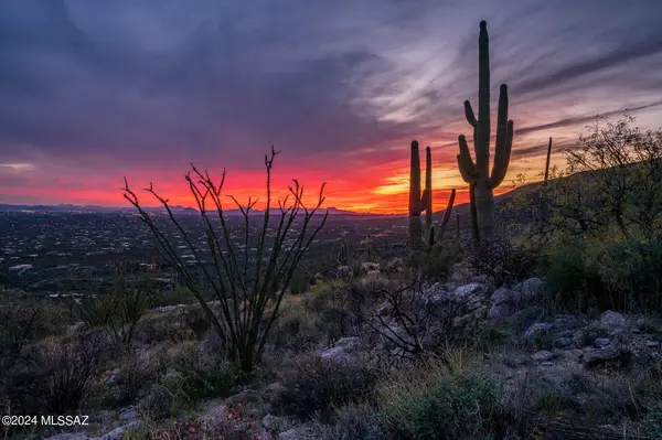 12979 E Cabeza De Vaca #Lot E, Tucson, AZ 85749