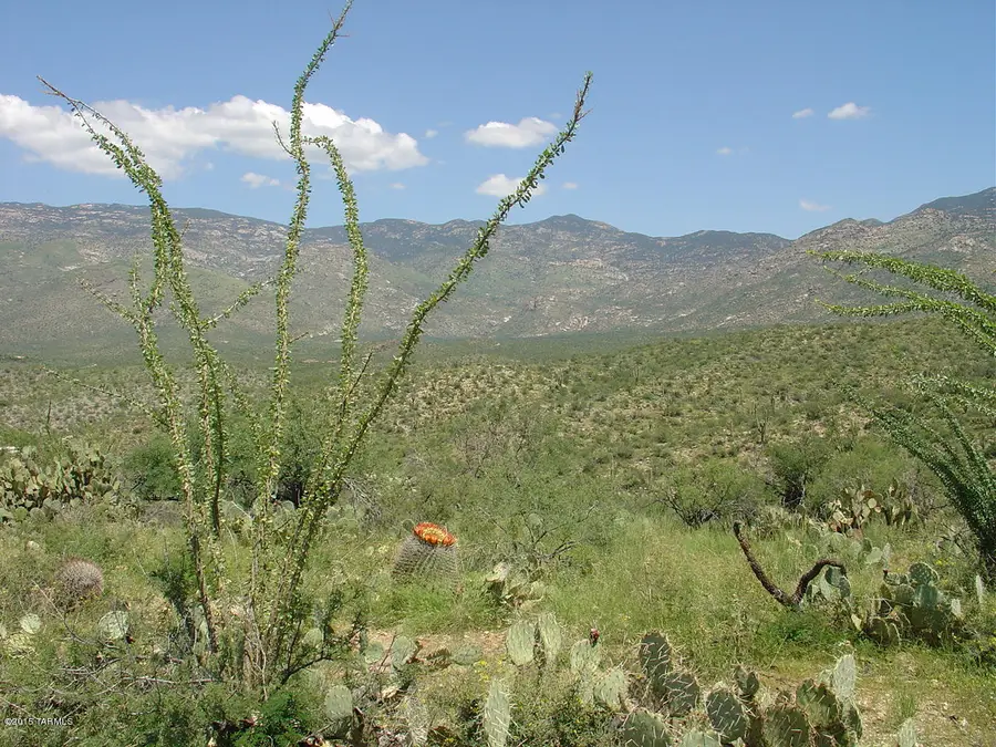 7301 S Red Hill Road #84, Vail, AZ 85641 - Image #3