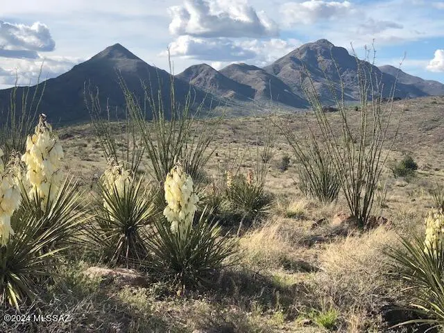 TBD Perezoso Court #71/2, Rio Rico, AZ 85648 - Image #1